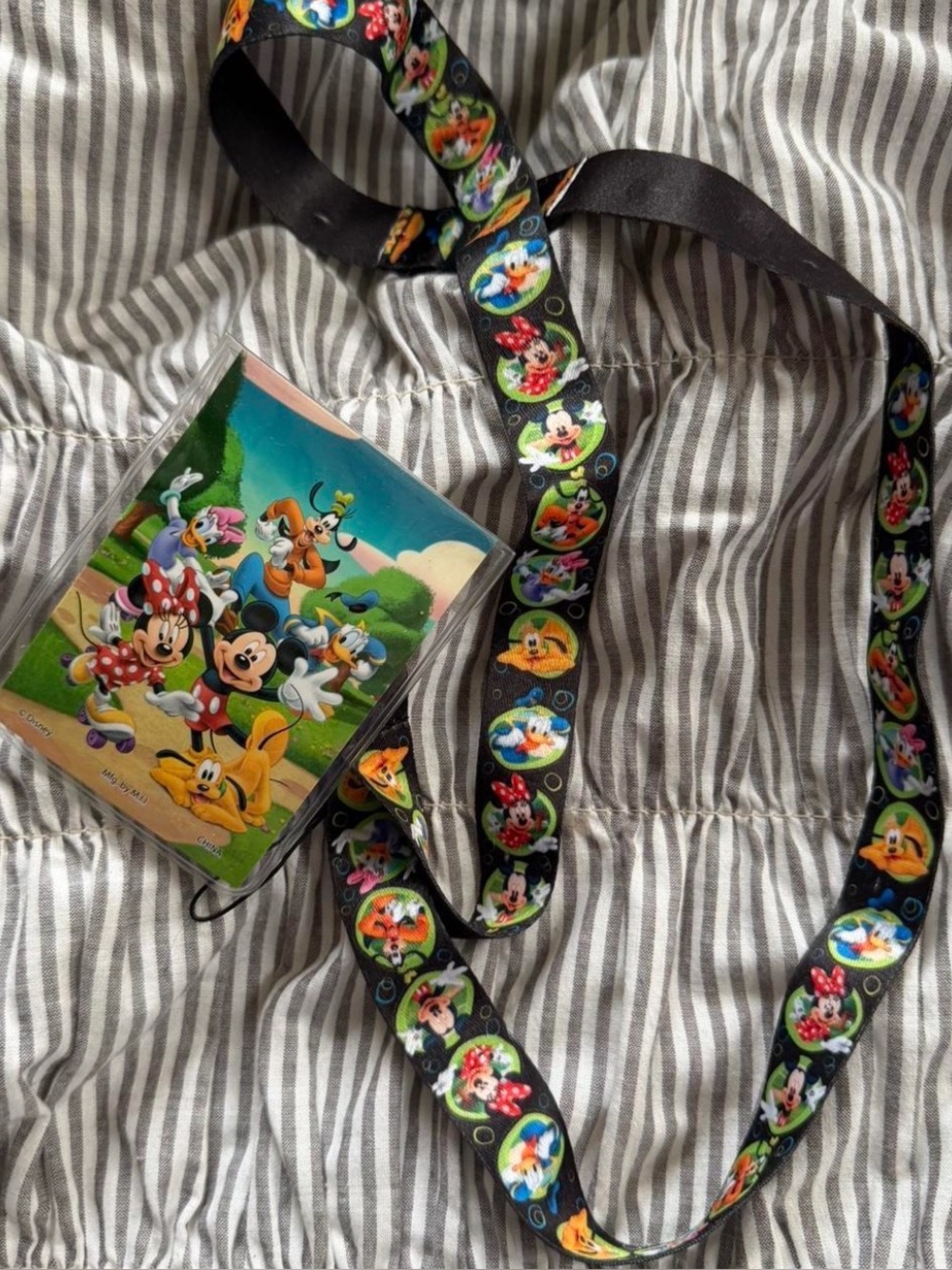 disney lanyard